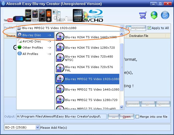 Choose outpur format, Easy Blu-ray Creator