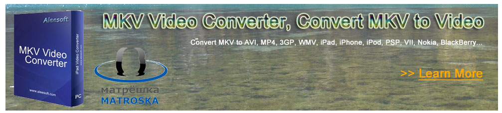 Free MKV Converter
