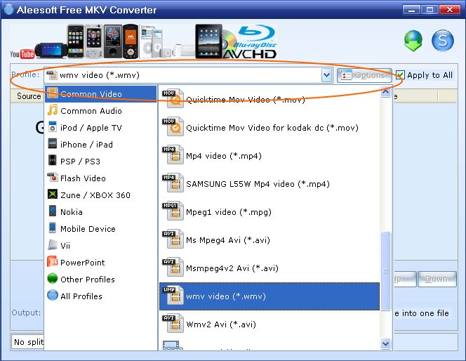 Choose outpur format, Free MKV Video Converter