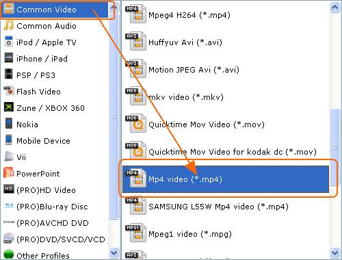 Choose outpur format, Free MKV Video Converter