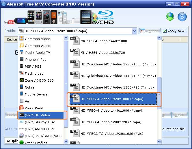 Choose hd video format, Free MKV Video Converter